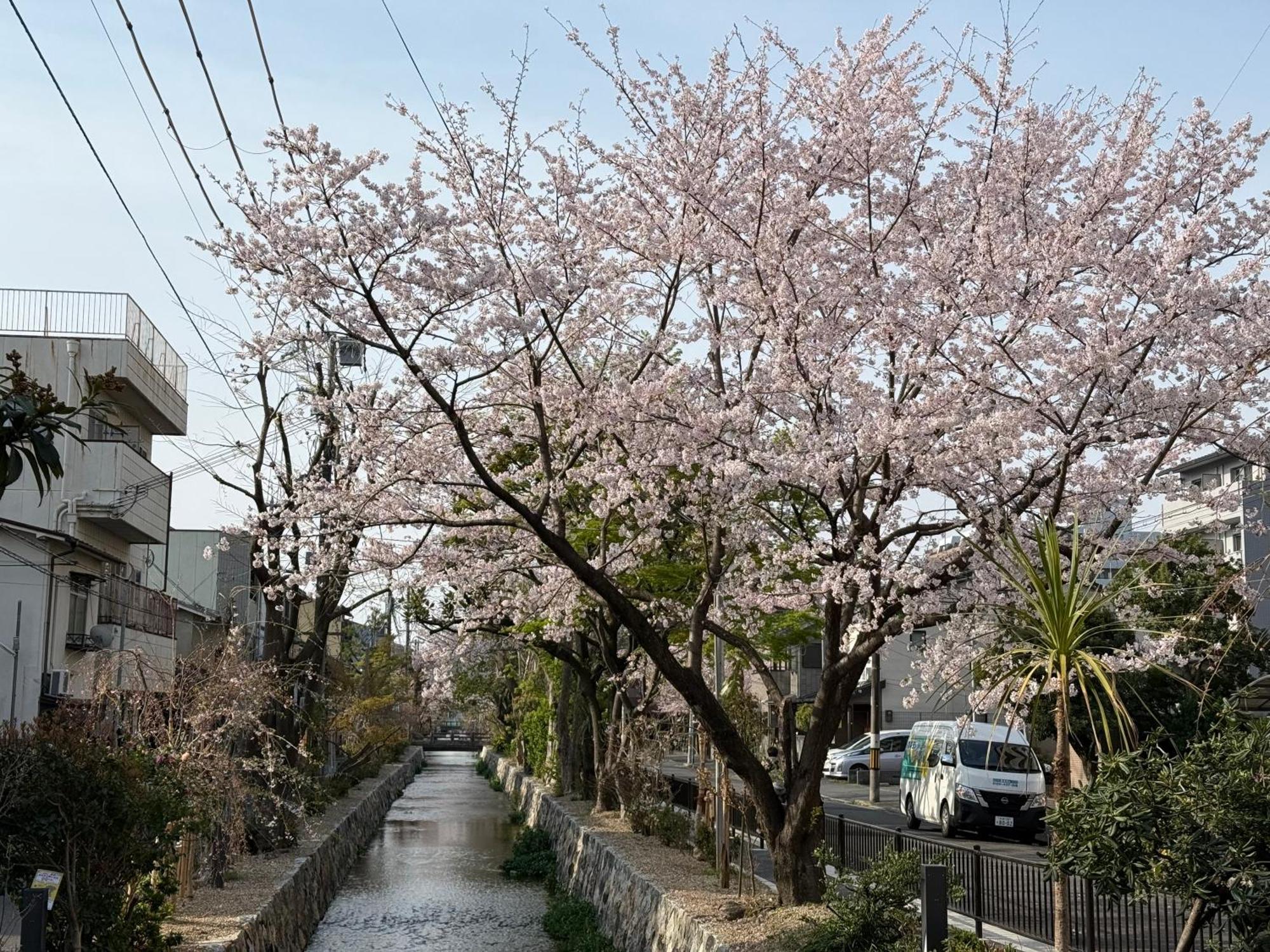 初音 Daire Kyoto Dış mekan fotoğraf
