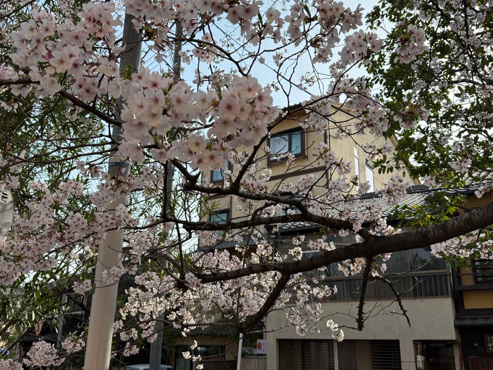 初音 Daire Kyoto Dış mekan fotoğraf