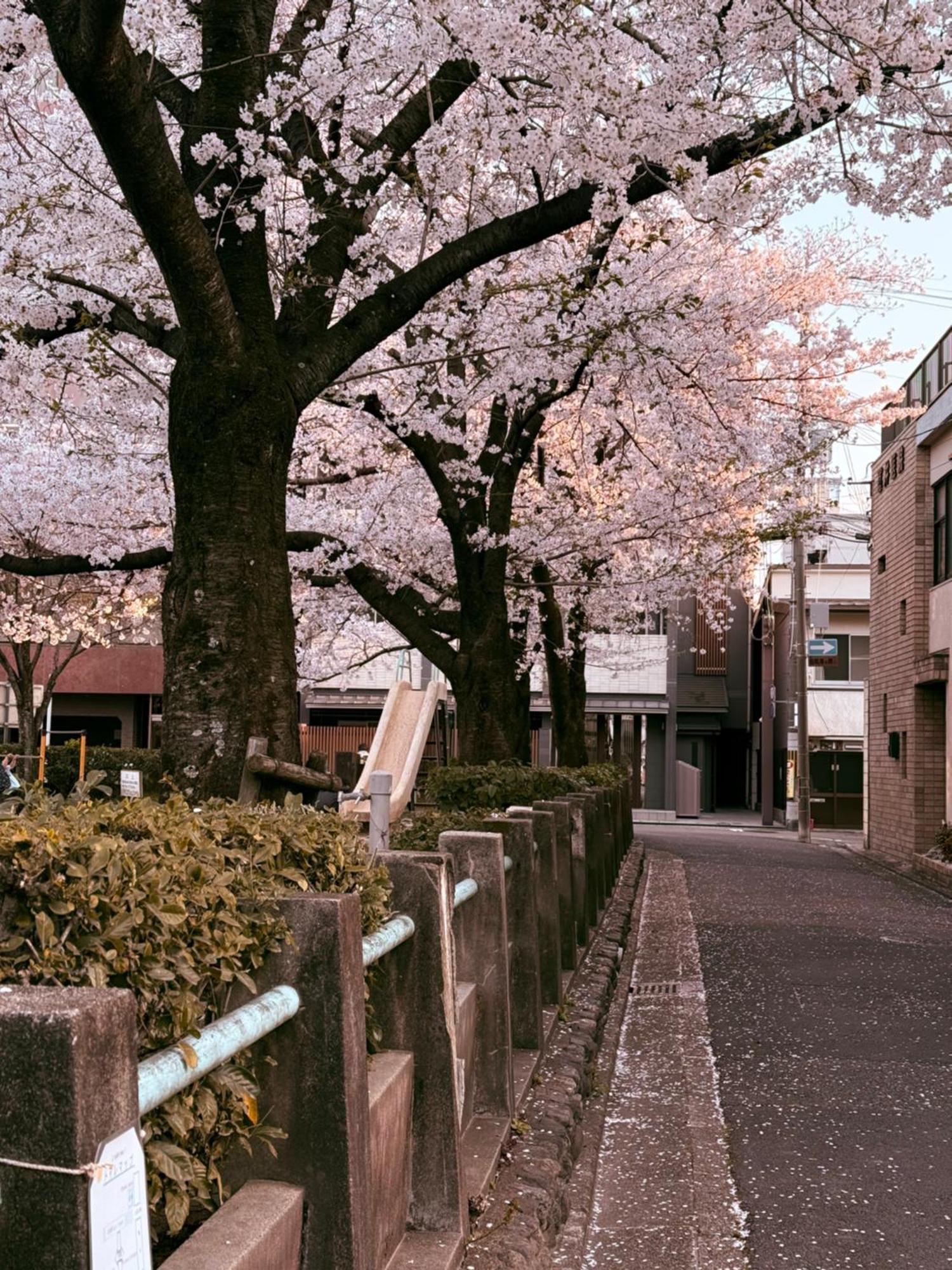 初音 Daire Kyoto Dış mekan fotoğraf