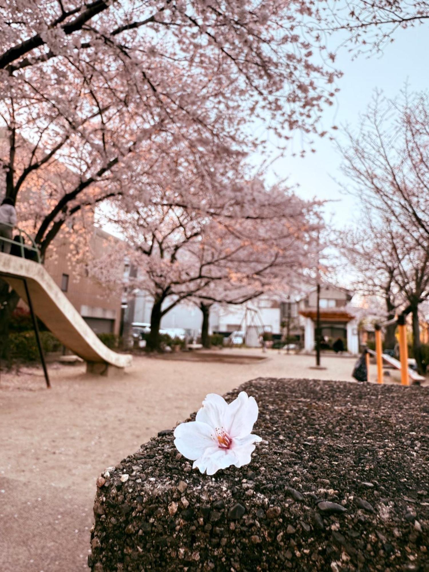 初音 Daire Kyoto Dış mekan fotoğraf