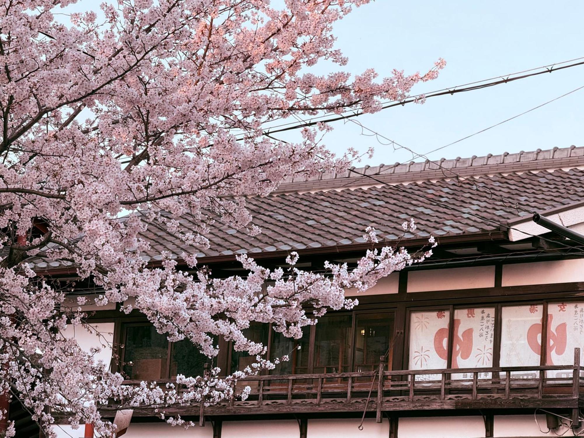 初音 Daire Kyoto Dış mekan fotoğraf